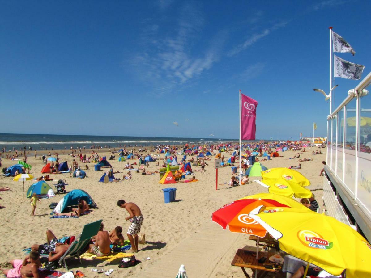 Perfect Stay Holiday, Sea View Egmond aan Zee Zewnętrze zdjęcie